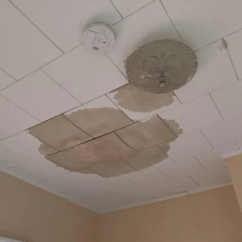 Ceiling Water Damage Repair in Rockcreek, OR